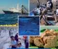 A global perspective: Tuna as a source of health and wealth